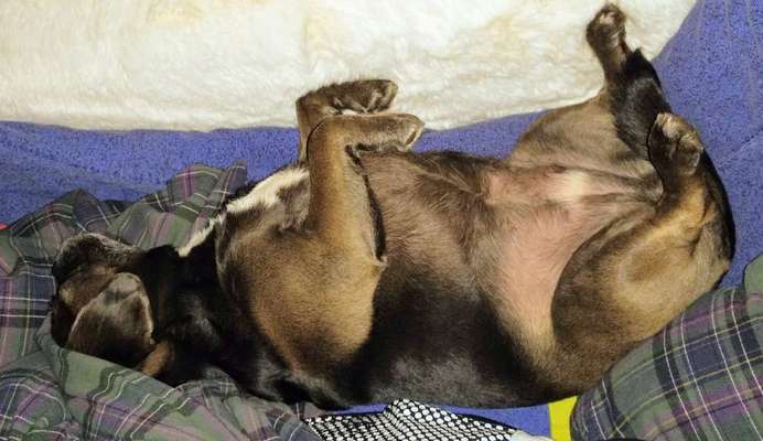 Die unbequemsten und lustigsten Schlafpositionen-Beitrag-Bild