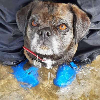 Blick fürs Detail!-Beitrag-Bild