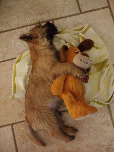 Fotochallenge Nr. 29 - Accessoires-Beitrag-Bild