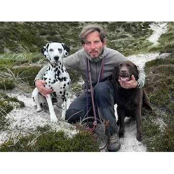 Hundeschulen-Hundeschule Hunde-Denken-Bild