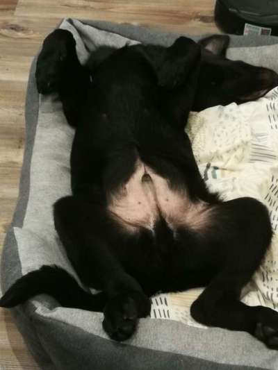 Fotochallenge Nr.65-Beitrag-Bild