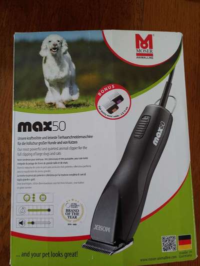 Charakter Pudel-Beitrag-Bild