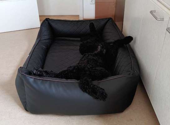 Die unbequemsten und lustigsten Schlafpositionen-Beitrag-Bild