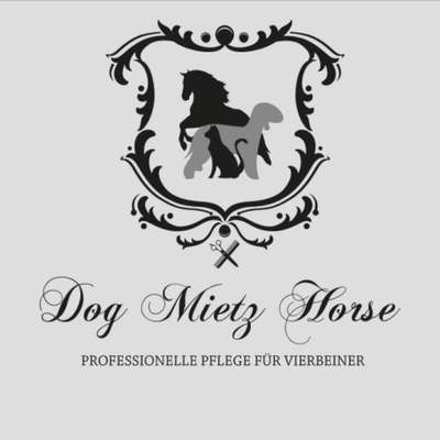 Hundefriseure-Dog Mietz Horse-Bild