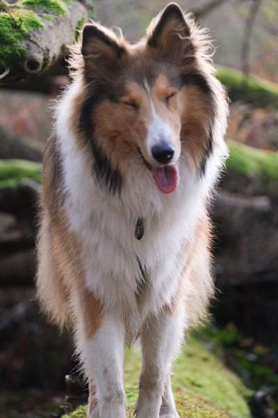 Fotochallenge No. 5-Beitrag-Bild