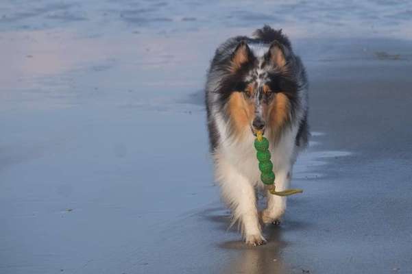 Foto Challenge - BEENDET - bitte aktuelle Challenge nutzen-Beitrag-Bild