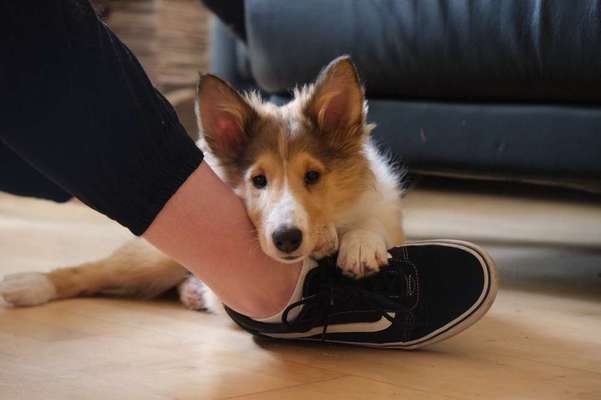 Foto Challenge 3-Beitrag-Bild