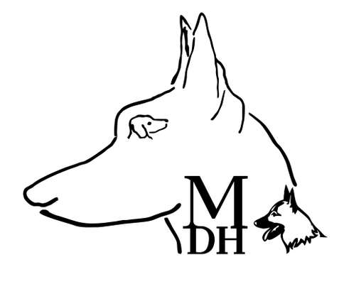 Hundeschulen-Dog-Mix-Hundeschule-Bild