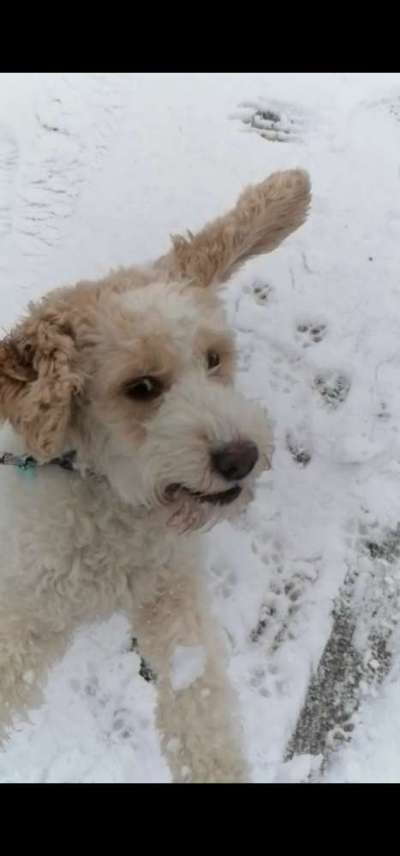 Challenge Nr. 15
Spiel im Schnee-Beitrag-Bild