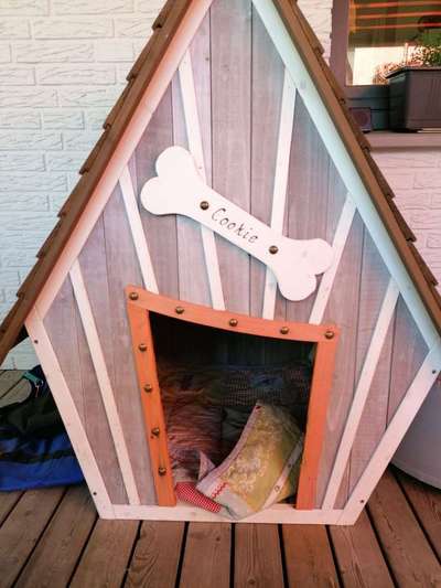 Selbstständig machen mit Hundehütten?-Beitrag-Bild