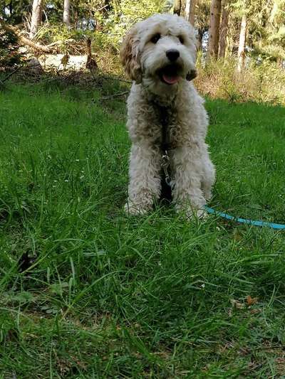 Immer lächeln !-Beitrag-Bild