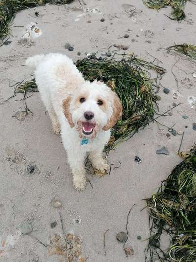 Eure Strandbilder :)-Beitrag-Bild