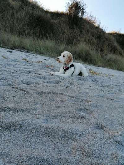 Eure Strandbilder :)-Beitrag-Bild