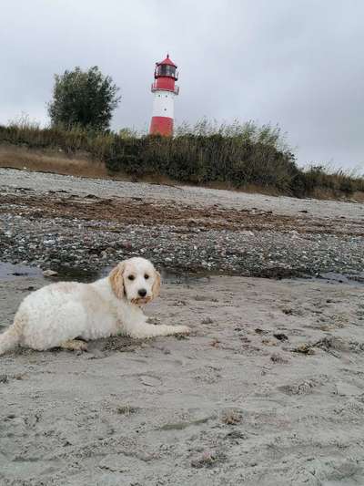 Eure Strandbilder :)-Beitrag-Bild