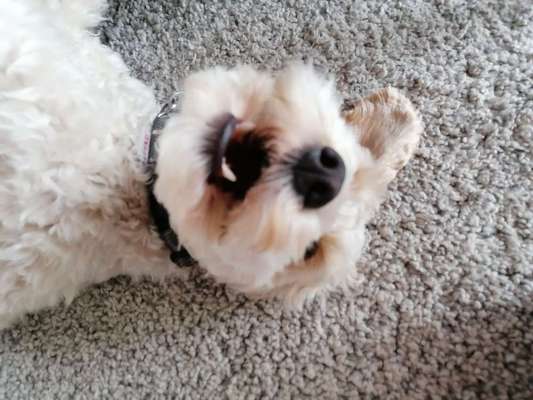 Immer lächeln !-Beitrag-Bild