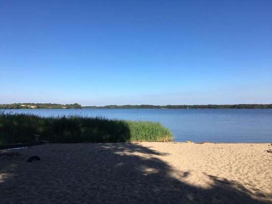 Die wunderschöne Welt mit Hund.-Beitrag-Bild