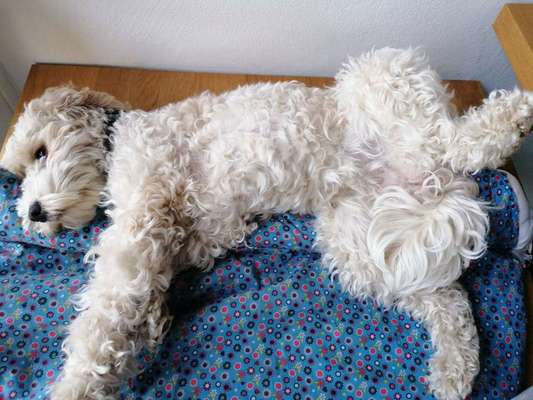 Die unbequemsten und lustigsten Schlafpositionen-Beitrag-Bild