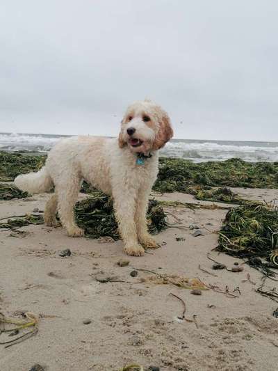 Eure Strandbilder :)-Beitrag-Bild