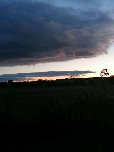 Die wunderschöne Welt mit Hund.-Beitrag-Bild