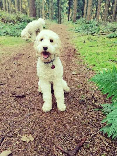 Challenge Nr. 10: "Das schönste Lächeln"-Beitrag-Bild