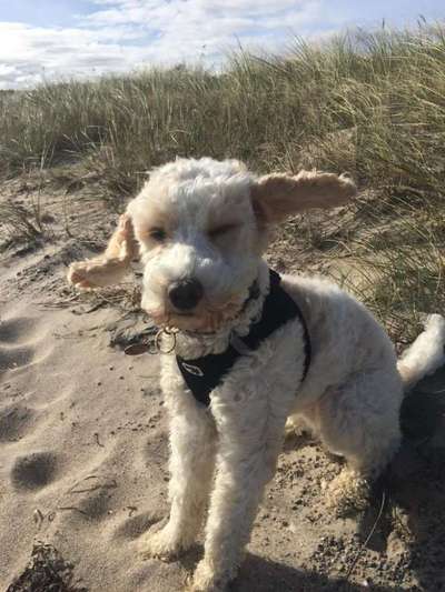 Fotochallenge No. 26                                     Wald und Wiese-Beitrag-Bild