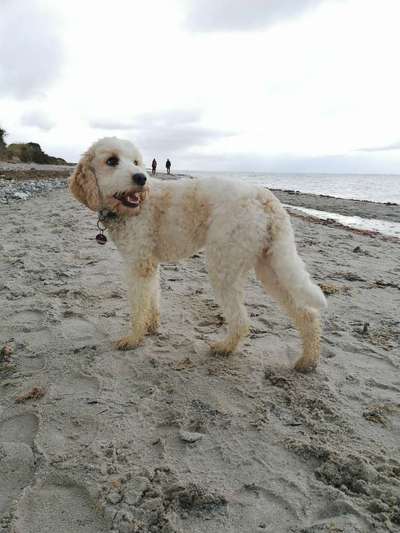 Eure Strandbilder :)-Beitrag-Bild