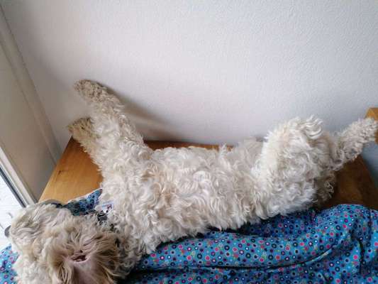 Die unbequemsten und lustigsten Schlafpositionen-Beitrag-Bild