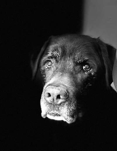 Zeigt eure Portraits-Beitrag-Bild