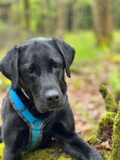 Zeigt eure Portraits-Beitrag-Bild