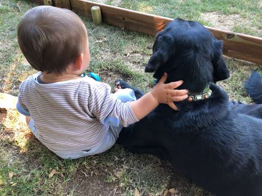 FOTOCHALLENGE 68: Dein Hund und sein bester Freund-Beitrag-Bild