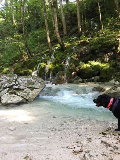 Fotowettbewerb Natur-Beitrag-Bild