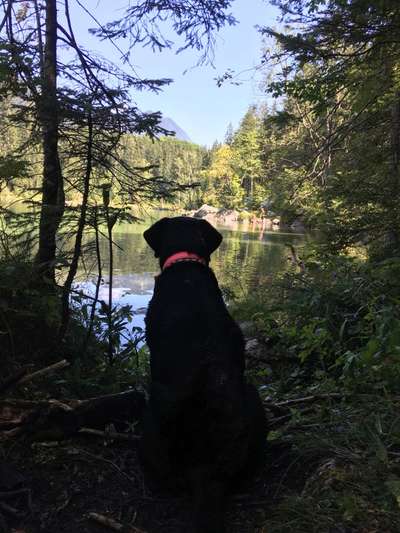 Fotowettbewerb Natur-Beitrag-Bild