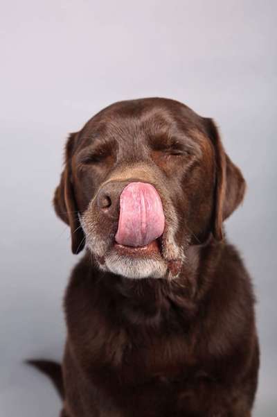 Tongue Out Tuesday-Beitrag-Bild