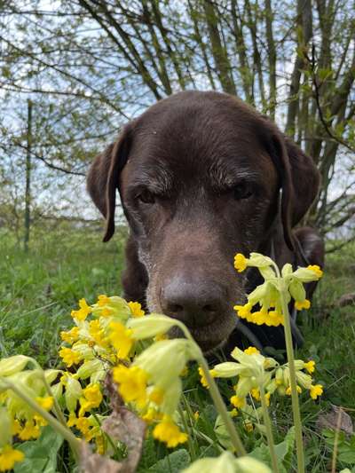 Fotochallenge 78

Es grünt und blüht-Beitrag-Bild