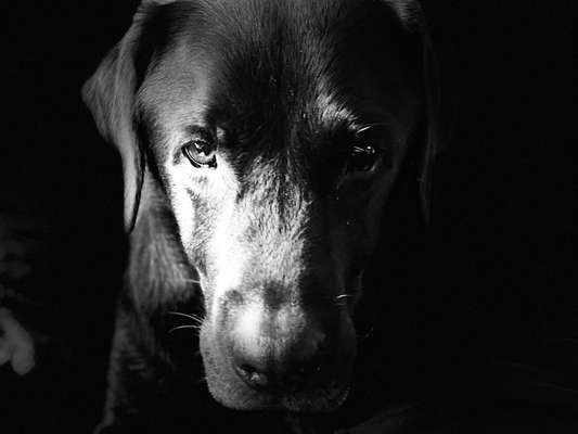 Zeigt eure Portraits-Beitrag-Bild