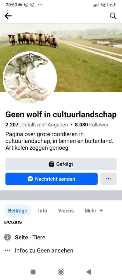 Wolfsangriff in den Niederlanden – Wie sicher sind unsere Hunde?-Beitrag-Bild