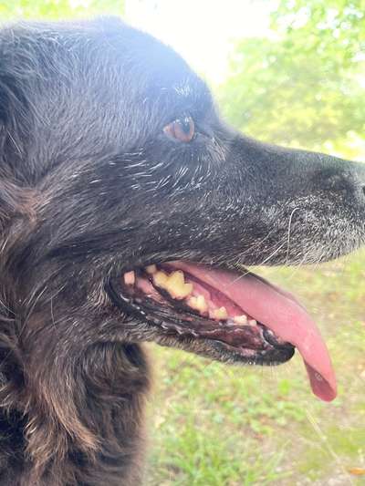 Lieblingsbild-Beitrag-Bild