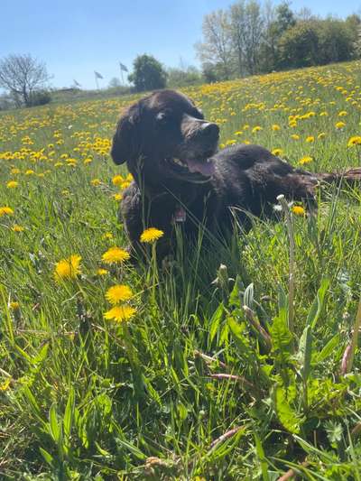 Lieblingsbild-Beitrag-Bild