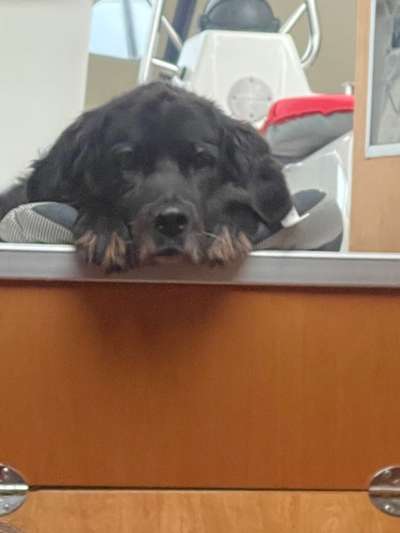 Lieblingsbild-Beitrag-Bild