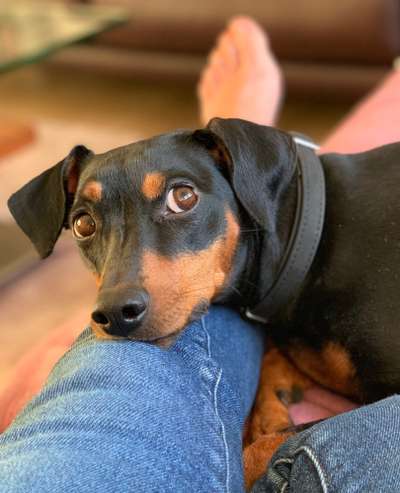 Zeigt eure Portraits-Beitrag-Bild