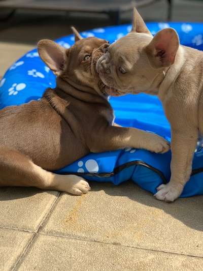 Lieblingsbild-Beitrag-Bild