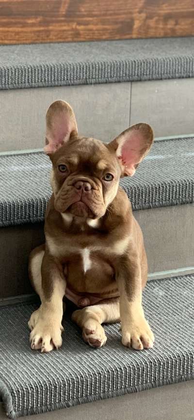 Lieblingsbild-Beitrag-Bild