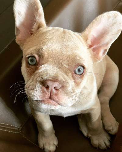 Lieblingsbild-Beitrag-Bild