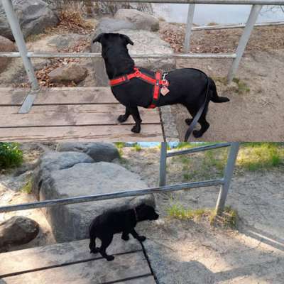 Sie werden so schnell groß!-Beitrag-Bild