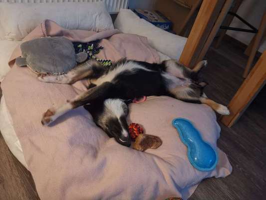 Die unbequemsten und lustigsten Schlafpositionen-Beitrag-Bild