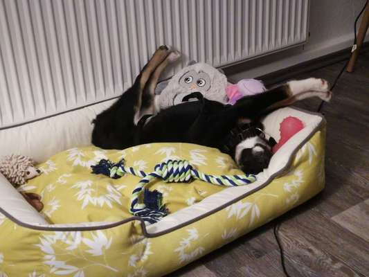 Die unbequemsten und lustigsten Schlafpositionen-Beitrag-Bild