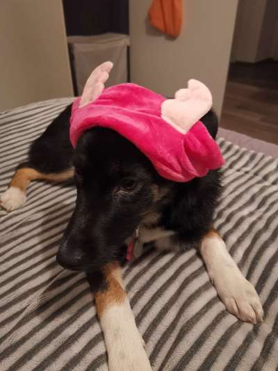 Weihnachtsfoto Aktion!-Beitrag-Bild