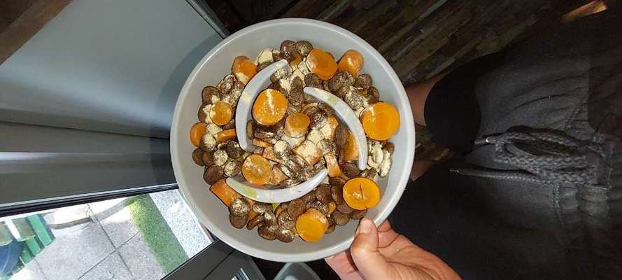 Zeigt her Eure Futternäpfe-Beitrag-Bild