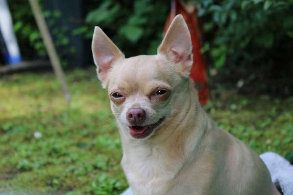 Fotochallenge Nr.122-Beitrag-Bild