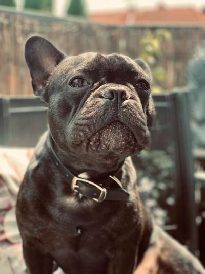 Fotochallange Nr. 57     PORTRÄT.   Beendet!!!!!!!!-Beitrag-Bild